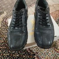 کفش چرم مردانه cat