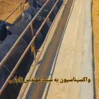 نیازمند یک نفر نیرو کار