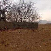 فروش زمین کشاورزی در بیضا|فروش زمین و ملک کلنگی|بیضا, |دیوار