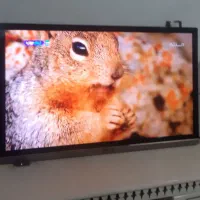 ال ای دی ۴۳اینچ اسنوا|تلویزیون و پروژکتور|کوهدشت, |دیوار