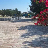 اجاره مغازه گلشهر خ.دانیال
