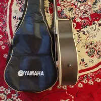 گیتار حرفه تی|گیتار، بیس، امپلیفایر|مشهد, پورسینا|دیوار