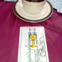 پیش بینی و آیندنگری۱۰۰٪ طالع بینی با نیروی ماوارئی|خدمات پذیرایی، مراسم|کیش, |دیوار