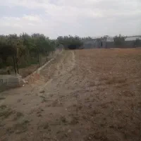 زمین 3000 متری محدوده گلبهار|فروش زمین و ملک کلنگی|گلبهار, نوبهار|دیوار