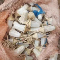 لامپ رنگی  یا ریسه