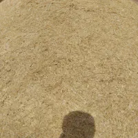 کاه حدود ۴ تن و یونجه ۴ تن