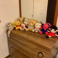 عروسک پولیشی