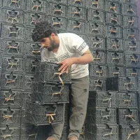 کوله بار اراک