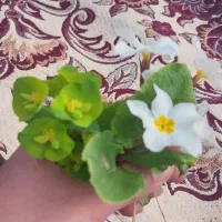 کارگر ماهر کشاورزی