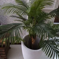 واحدتجاری-مجتمع-اکسیر-چهارراه-مخابرات-قاسم-آباد