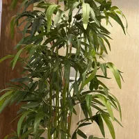 گلدان همراه باگل