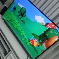 تلویزیون ۵۵ اینچ