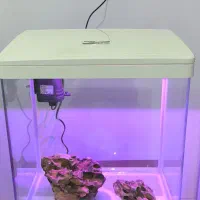 آکواریوم دلسا مدل k390|ماهی|کرج, ساسانی (قلمستان)|دیوار