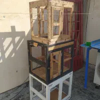 قفس|لوازم جانبی حیوانات|بندر گناوه, |دیوار