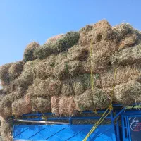 بیده تراکتور ی