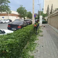 باغ وغبانی