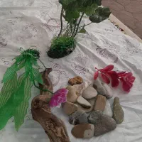 لوازم آکواریوم