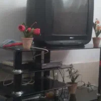 تلویزیون و دیجیتال سالم