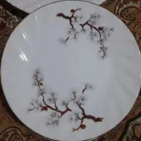 میوه خوری چینی|ظروف سرو و پذیرایی|قم, باغ اشرافی|دیوار