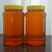 عسل بهاره و چهل گیاه (گون) به قیمت عمده