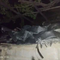 شیر و لوله