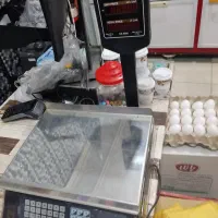 یخچال.قفسه.ترازو|فروشگاه و مغازه|همدان, |دیوار