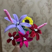 پیپ پاکن های ترند و جذاب