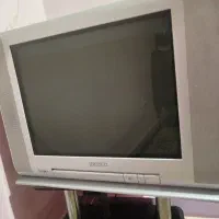 تلویزیون