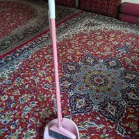 جارو ایستاده