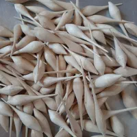 سرمه طبیعی همراه با میل سرمه|آرایشی، بهداشتی، درمانی|ایوان, |دیوار