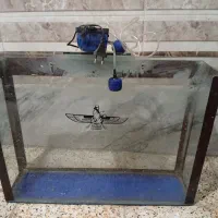 آکواریوم ماهی وپمپ هوا ساز