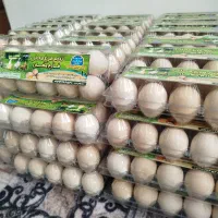تخم مرغ محلی
