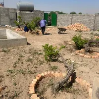 باغچه ۵۰۰ متری سند دار درخت گردو|فروش زمین و ملک کلنگی|تهران, شهرک شریعتی|دیوار