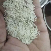 سوزنی خوش عطر بشرط|خوردنی و آشامیدنی|آزادشهر, |دیوار