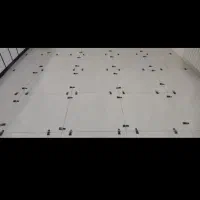 کاشی کاری|خدمات پیشه و مهارت|زابل, |دیوار