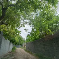 باغ و زمین
