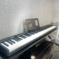 متنوع ترین پیانواقساطی ارسال سراسر کشور