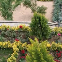 خدمات باغبانی تعویض خاک گلدان کاشت گل