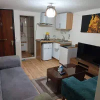 اجاره روزانه، سالانه سوئیت مبلەخیابان کرمان جنوبی