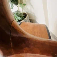 گیتار سانچز خوش صدا|گیتار، بیس، امپلیفایر|تهران, جنتآباد شمالی|دیوار