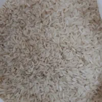 برنج قیمت مناسب