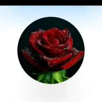 کارت بانکی گم کردم