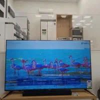 تلویزیون های هوشمند اسنوا|تلویزیون و پروژکتور|شیراز, گود عربان|دیوار