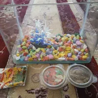 تنگ و وسایل ماهی