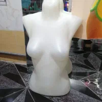 مانکن بالاتنه پلاستیکی|فروشگاه و مغازه|اسلامشهر, شهرک قائمیه|دیوار