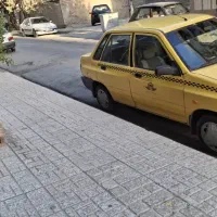 تاکسی مدل88دوگانه سوز شرکتی