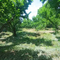 300-متر-باغچه-برق-و-گاز-وکالت-از-سندسهیلیه-بهاران