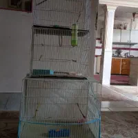 سه تاقفس نویکی بزرگ دوتامتوسط