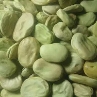 باقالی|خوردنی و آشامیدنی|گل تپه, |دیوار