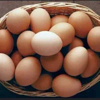 فروش تخم مرغ محلی